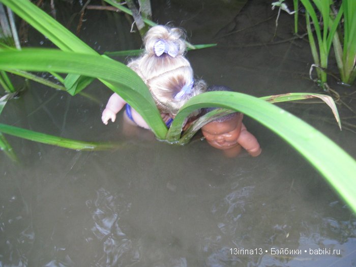 В тиши Сибирского августовского леса, 2 часть