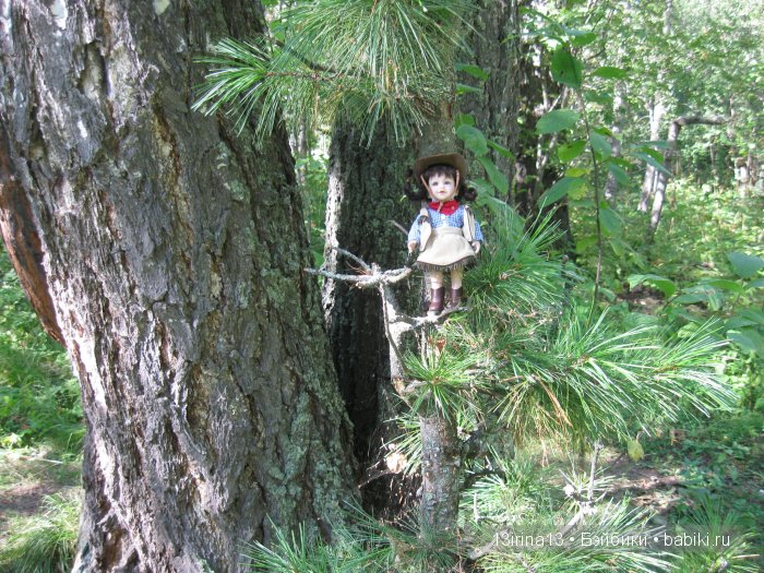 В тиши Сибирского августовского леса, 2 часть