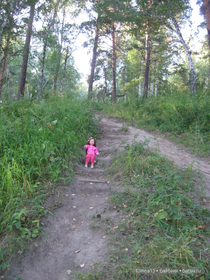 В тиши Сибирского августовского леса, 1 часть