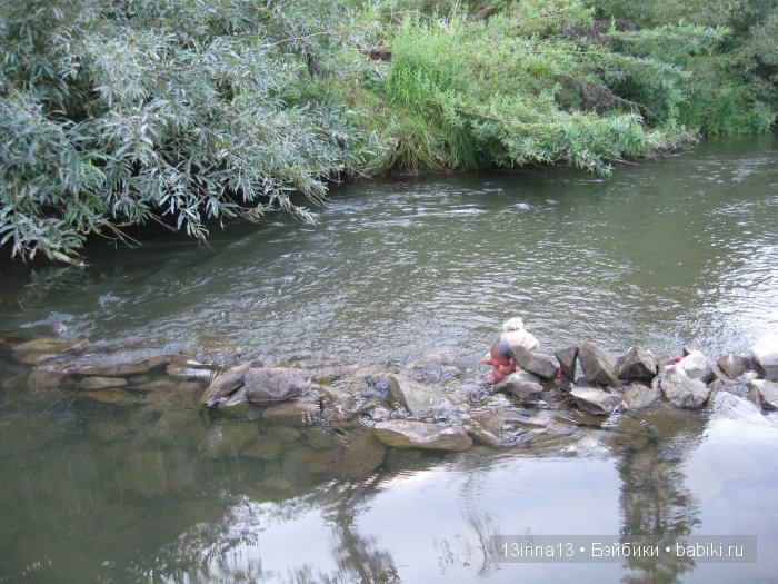 В тиши Сибирского августовского леса, 2 часть