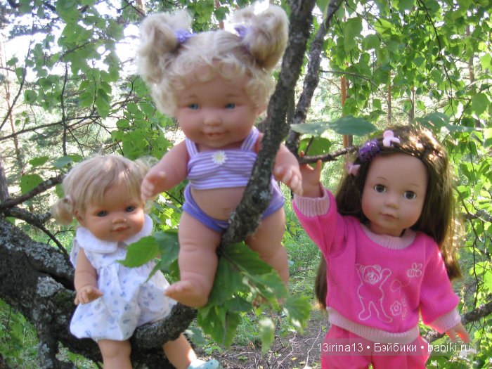 В тиши Сибирского августовского леса, 2 часть