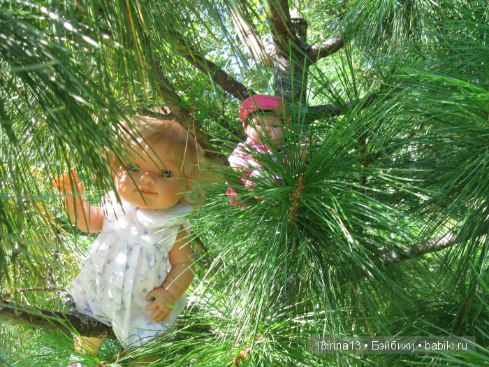 В тиши Сибирского августовского леса, 2 часть
