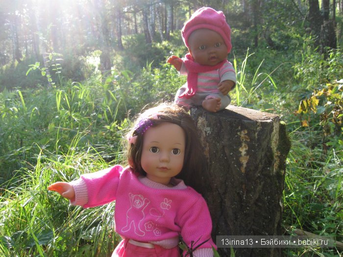 В тиши Сибирского августовского леса, 2 часть