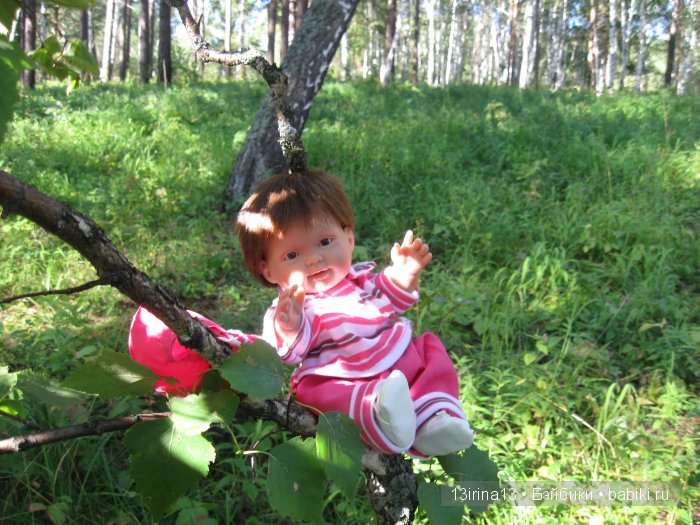 В тиши Сибирского августовского леса, 2 часть