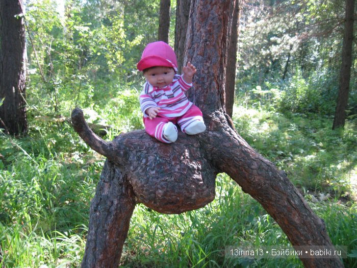 В тиши Сибирского августовского леса, 2 часть