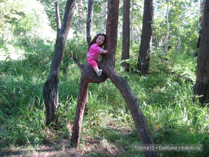 В тиши Сибирского августовского леса, 1 часть