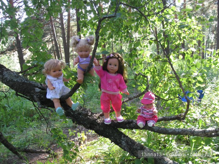 В тиши Сибирского августовского леса, 2 часть