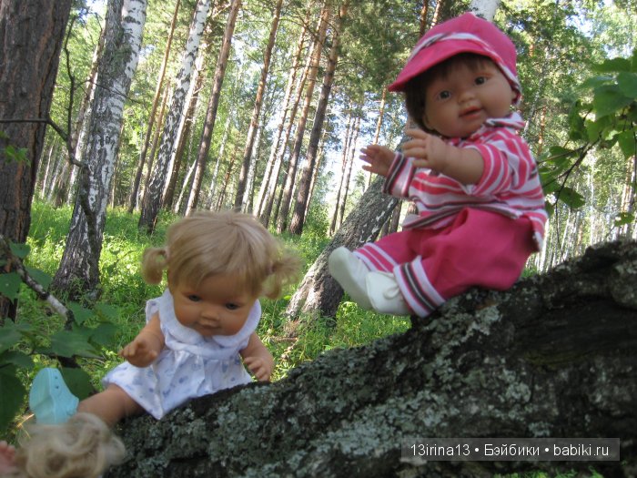 В тиши Сибирского августовского леса, 2 часть