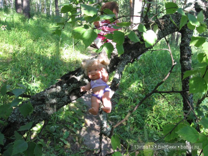 В тиши Сибирского августовского леса, 2 часть