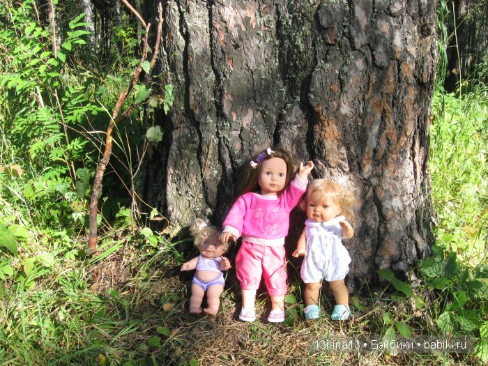 В тиши Сибирского августовского леса, 2 часть