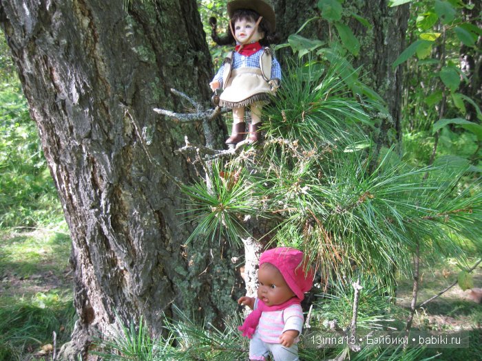 В тиши Сибирского августовского леса, 2 часть