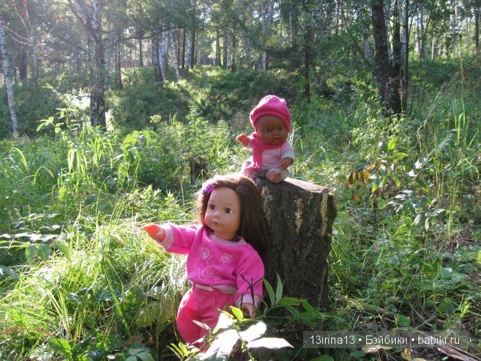 В тиши Сибирского августовского леса, 2 часть
