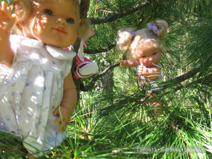 В тиши Сибирского августовского леса, 2 часть