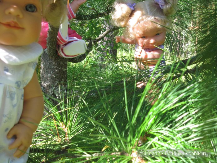 В тиши Сибирского августовского леса, 2 часть