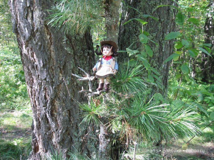 В тиши Сибирского августовского леса, 2 часть