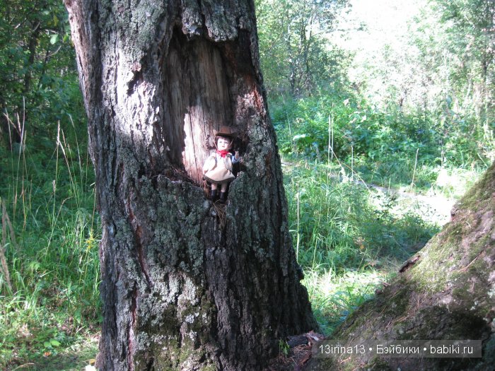 В тиши Сибирского августовского леса, 2 часть