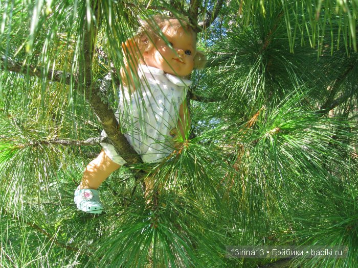 В тиши Сибирского августовского леса, 2 часть