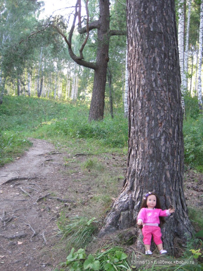 В тиши Сибирского августовского леса, 1 часть