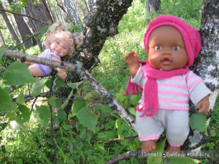 В тиши Сибирского августовского леса, 2 часть