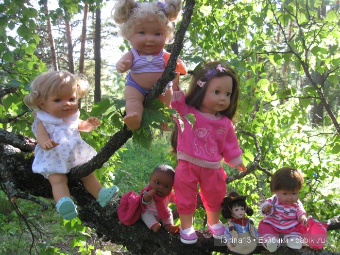 В тиши Сибирского августовского леса, 2 часть