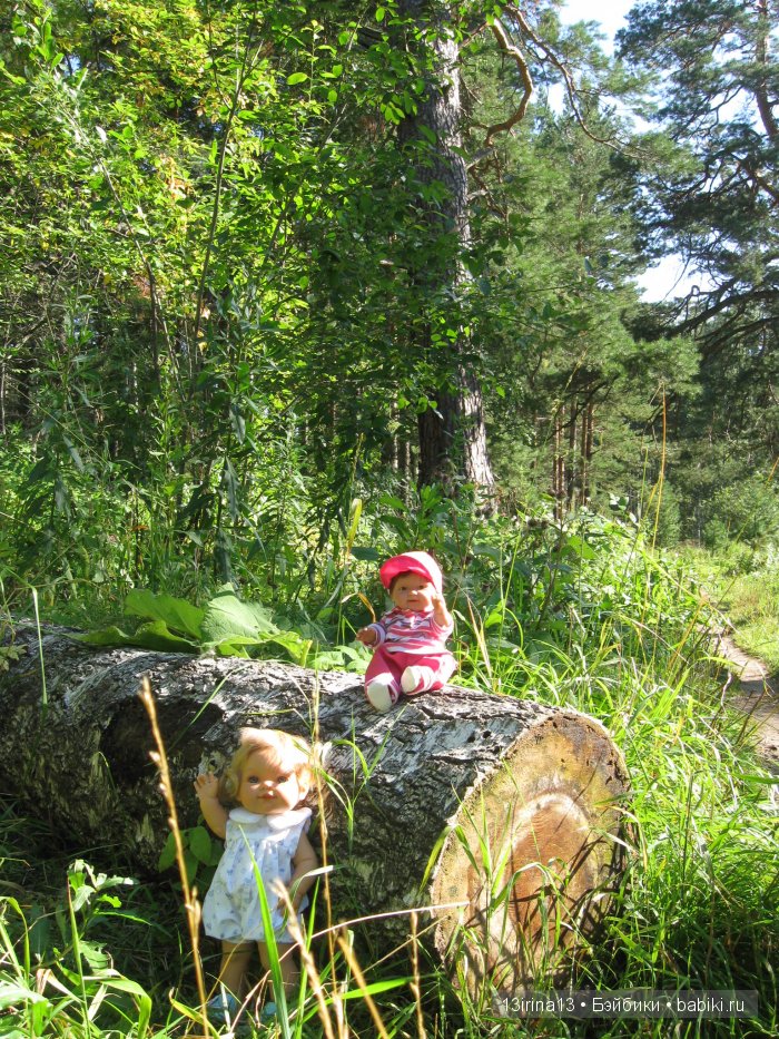 В тиши Сибирского августовского леса, 2 часть