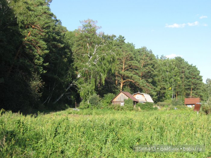 В тиши Сибирского августовского леса, 2 часть