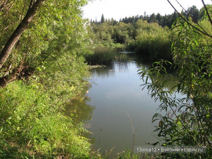 В тиши Сибирского августовского леса, 1 часть