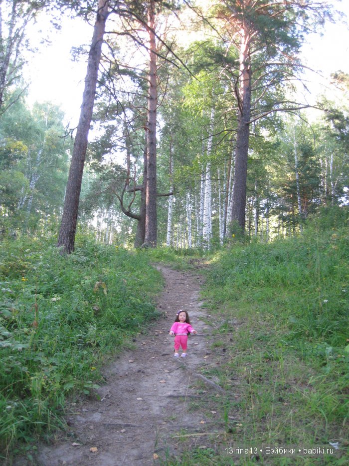 В тиши Сибирского августовского леса, 1 часть