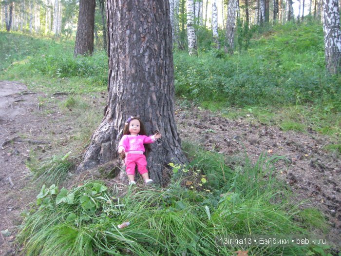 В тиши Сибирского августовского леса, 1 часть
