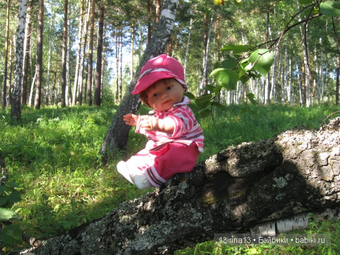 В тиши Сибирского августовского леса, 2 часть