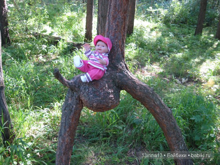 В тиши Сибирского августовского леса, 2 часть