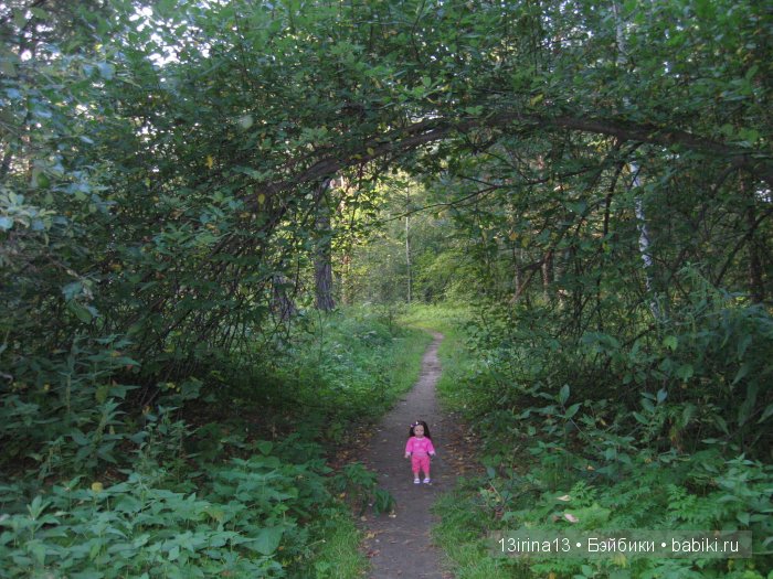 В тиши Сибирского августовского леса, 1 часть