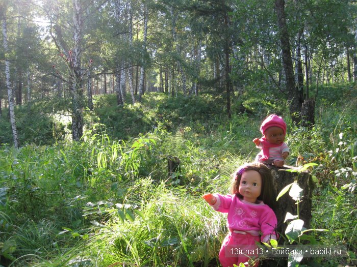 В тиши Сибирского августовского леса, 2 часть