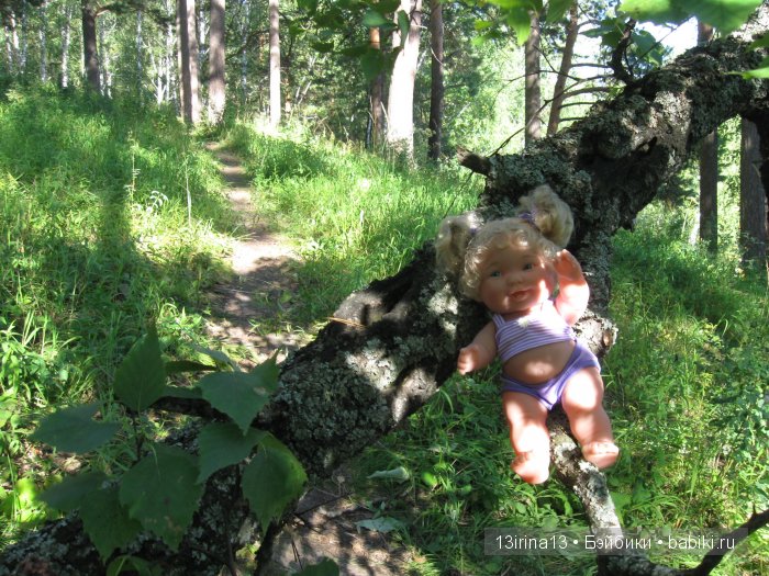 В тиши Сибирского августовского леса, 2 часть