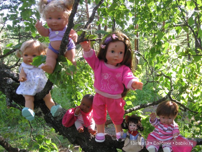 В тиши Сибирского августовского леса, 2 часть