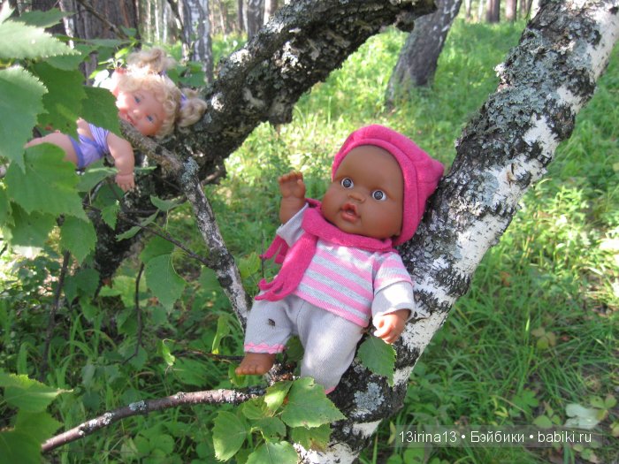 В тиши Сибирского августовского леса, 2 часть