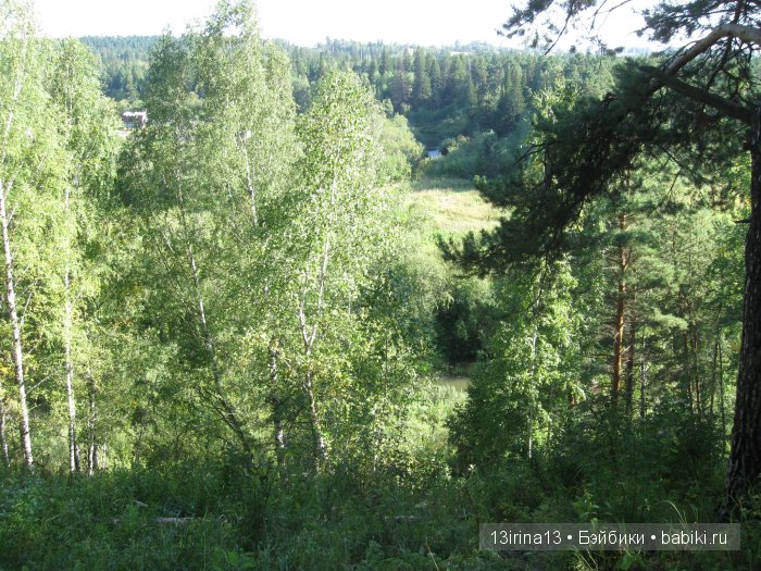 В тиши Сибирского августовского леса, 2 часть (фото 7)