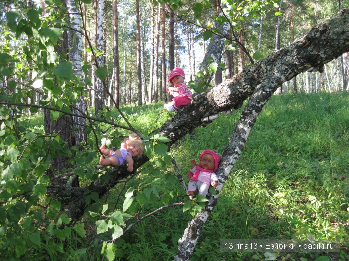 В тиши Сибирского августовского леса, 2 часть