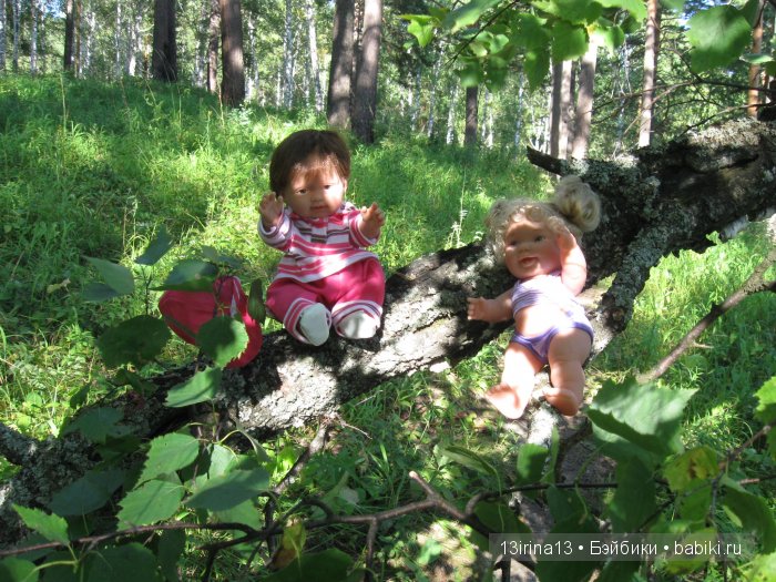 В тиши Сибирского августовского леса, 2 часть