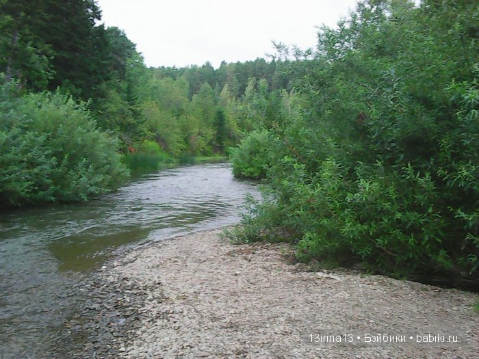 В тиши Сибирского августовского леса, 1 часть