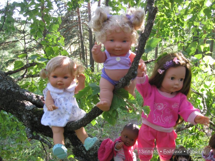 В тиши Сибирского августовского леса, 2 часть