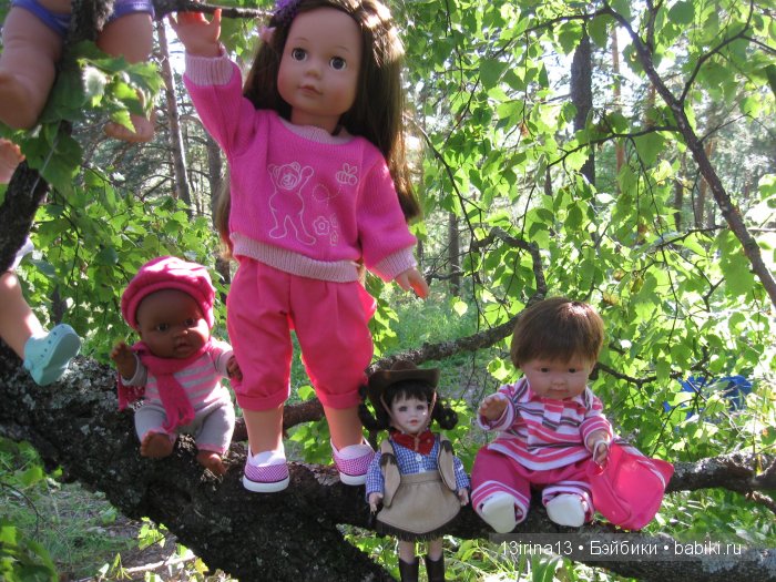 В тиши Сибирского августовского леса, 2 часть