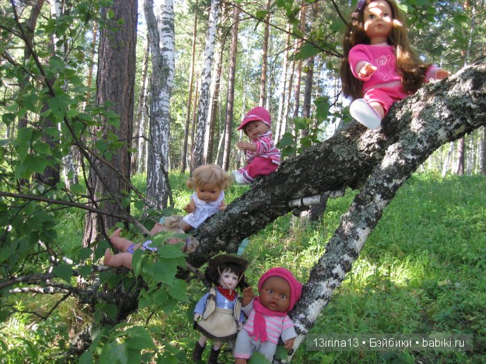 В тиши Сибирского августовского леса, 2 часть