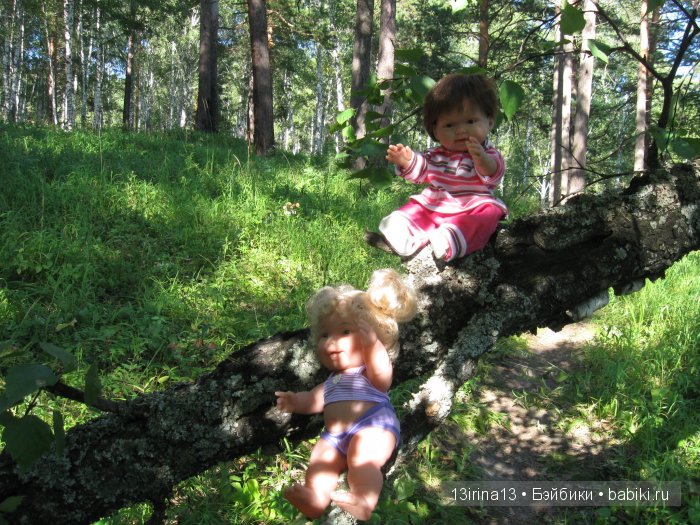В тиши Сибирского августовского леса, 2 часть