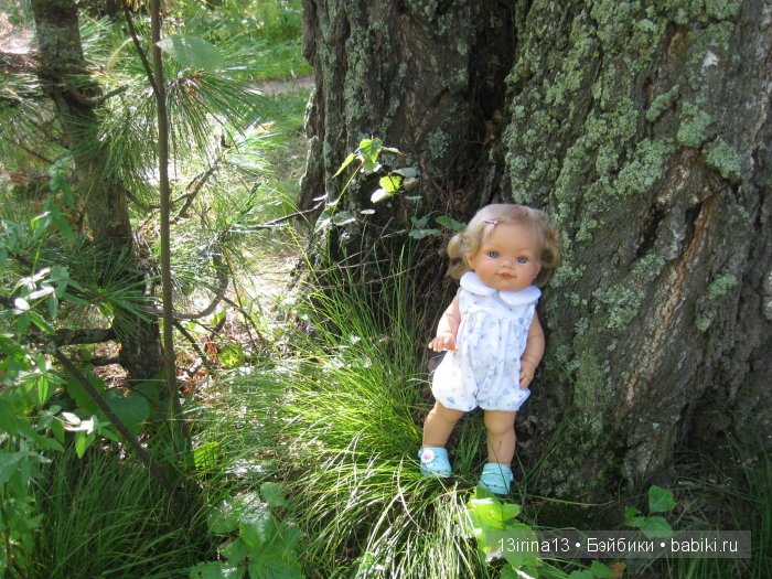 В тиши Сибирского августовского леса, 2 часть