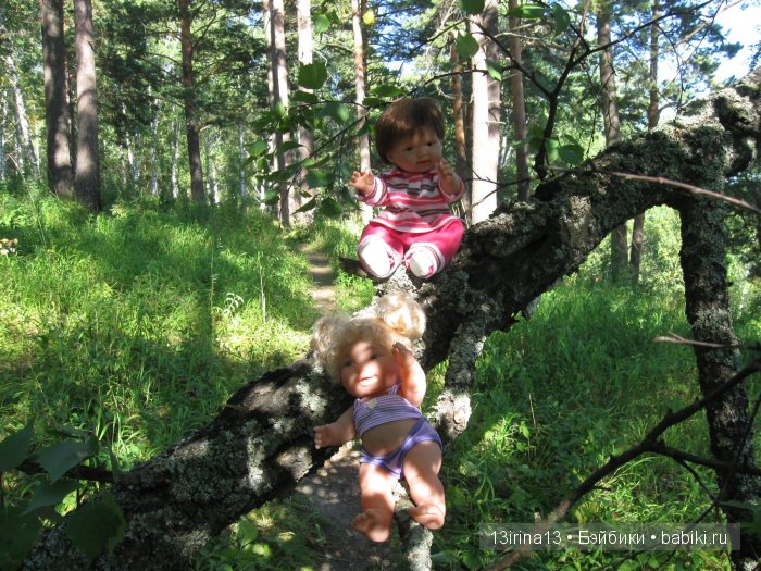 В тиши Сибирского августовского леса, 2 часть