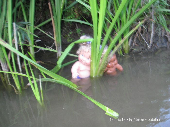 В тиши Сибирского августовского леса, 2 часть