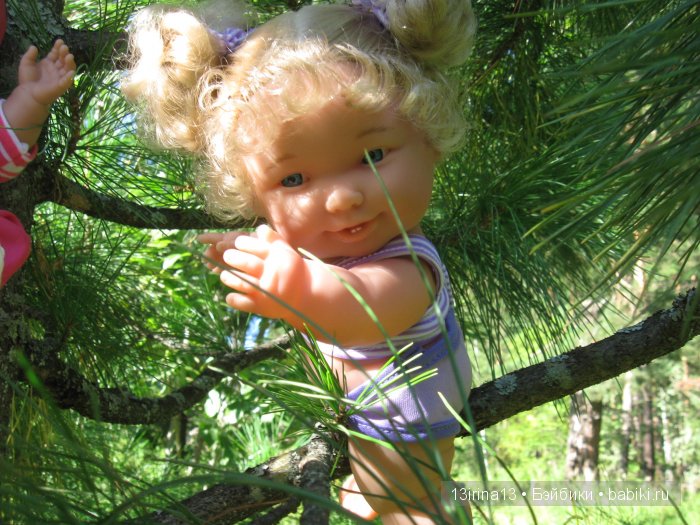 В тиши Сибирского августовского леса, 2 часть