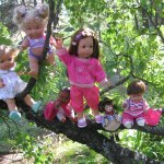 В тиши Сибирского августовского леса, 2 часть