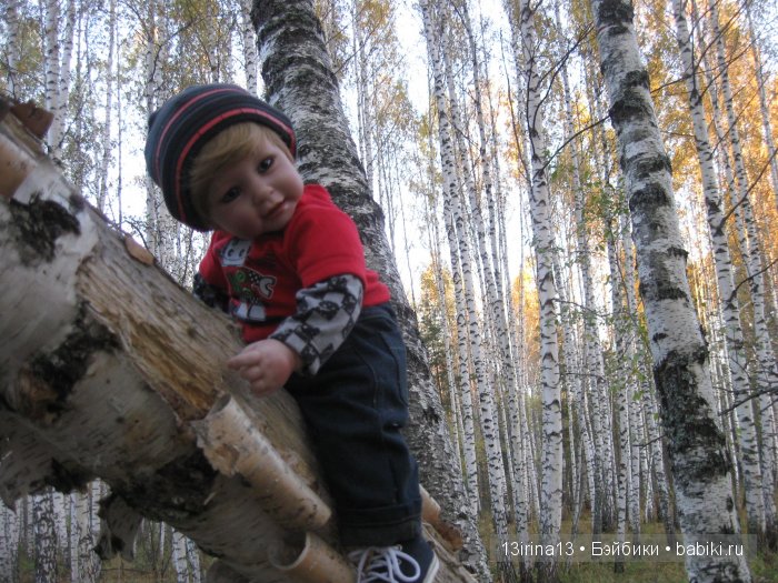 Прогулка в осеннем лесу чудесного, лучезарного малыша Адора